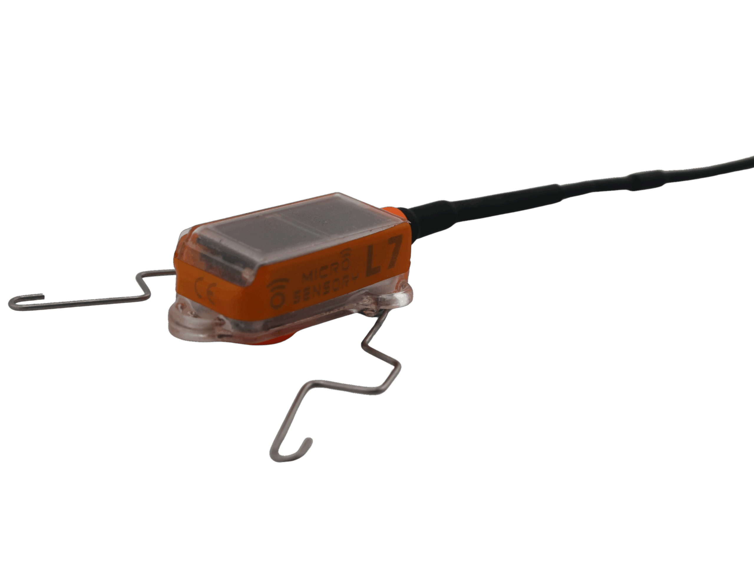 L7 - Radio - Image 2